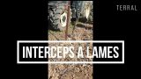 INTERCEPS A LAMES TERRAL