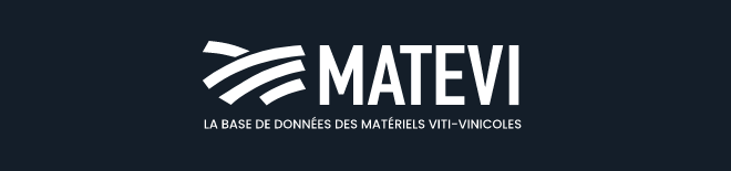 Logo MATEVI