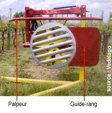 Tête d'effeuilleuse munie d'un palpeur et d'un guide rang