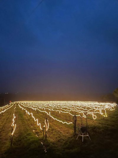 Tubes infra-rouges- Gouroux T CA21