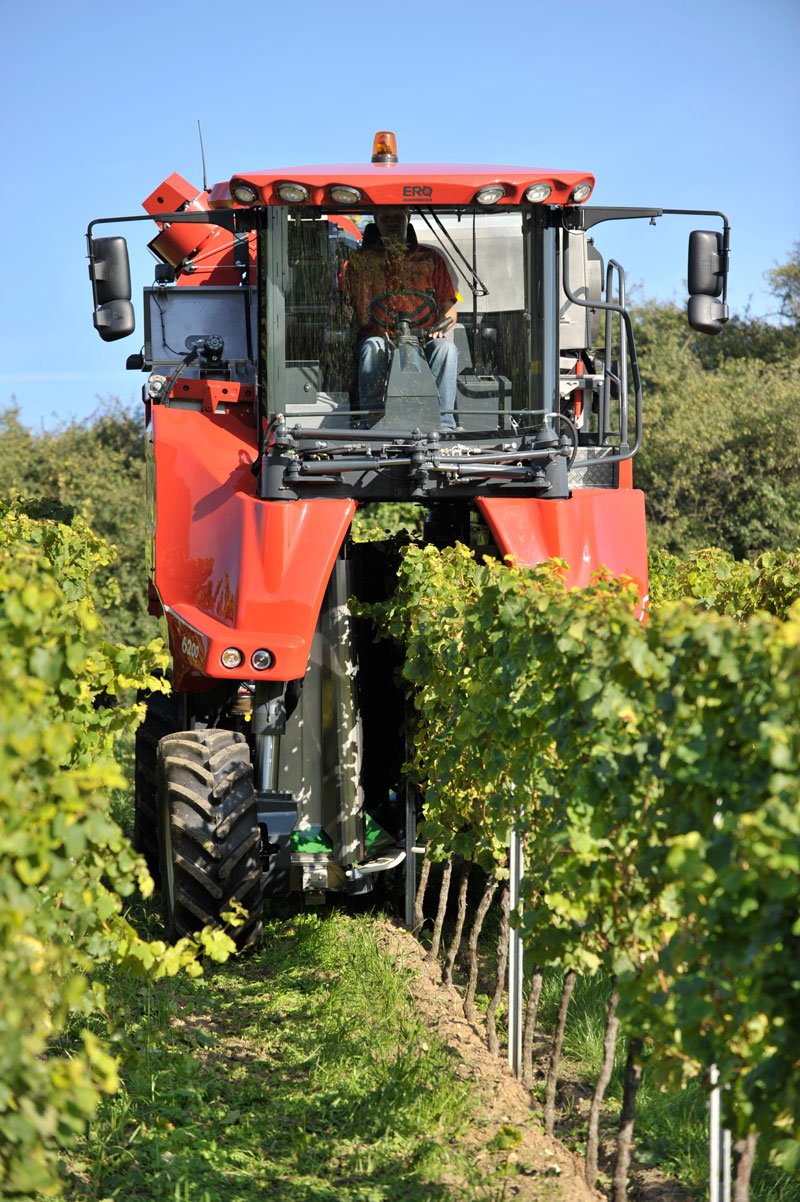 Machine à vendanger en action 