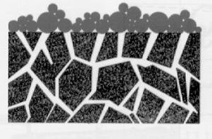 Rétention des particules à surface