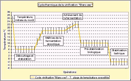 Cycle thermique de la vinification blanc sec