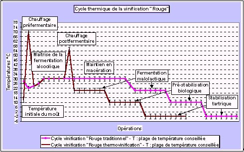 Cycle thermique de la vinification rouge