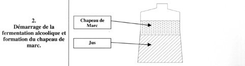 Cuve chapeau immerge - fermentation