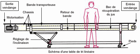 Schema table tri linéaire