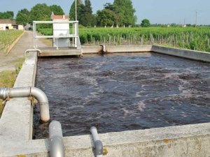 Bassin d'aération traitement boues activées