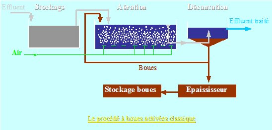 Procédé traitement des effluents vinicoles par boues activées