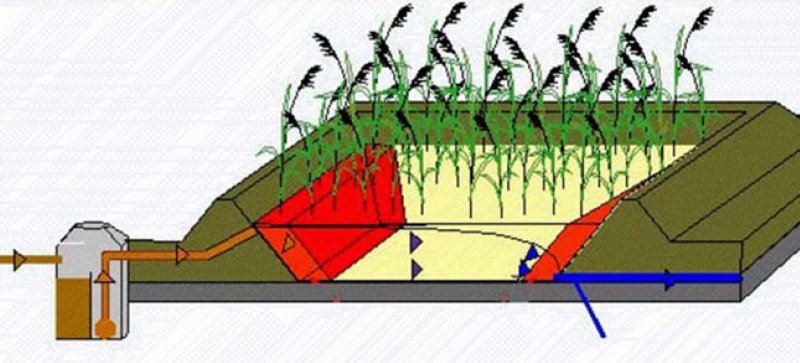  lit planté horizontal (Source : CCR Ingegnerio)