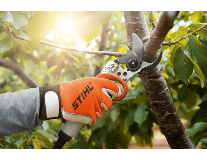 STIHL Sécateur électrique ASA 85