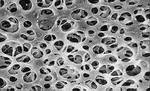Membrane surface grossie - Source Sartorius