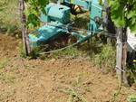 Outil de travail du sol après plantation de vigne - Source A. Martinet