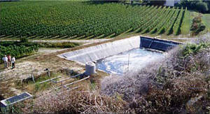 Traitement des effluents vinicoles par lits plantés de roseaux © photo MatéVi